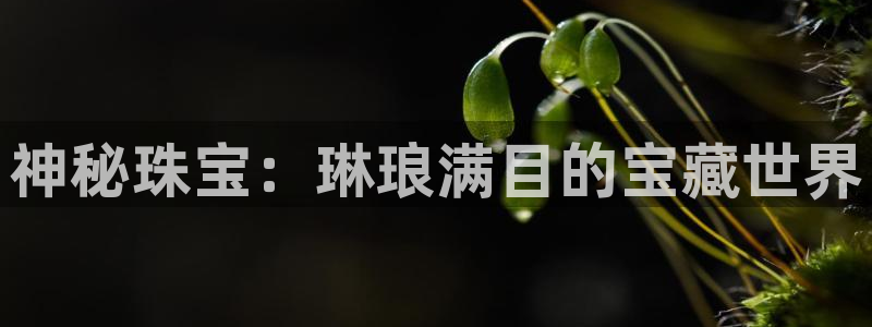 众腾娱乐APP下载：神秘珠宝：琳琅满目的宝藏世界