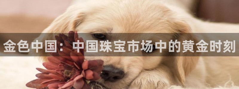 众腾娱乐APP下载