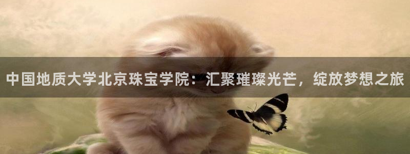 云南众腾娱乐：中国地质大学北京珠宝学院：汇聚璀璨光芒，绽放梦