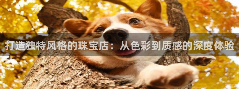 众腾娱乐平台群7O777